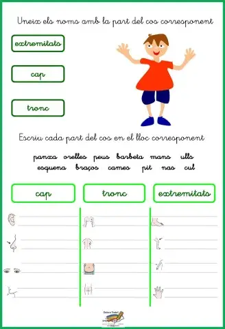 Parts del cos