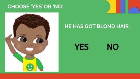 Physical appearance 2