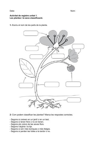 Parts de les plantes i classificació