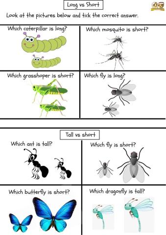 Math : Comparison (Measurement)