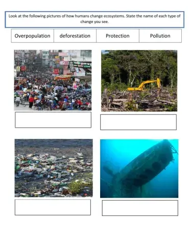 Human changes to ecosystems