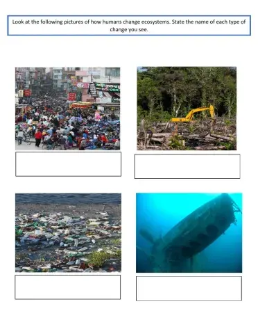 Human changes to ecosystems