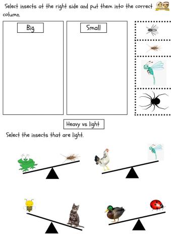 Math : Comparison (Size and heavy)