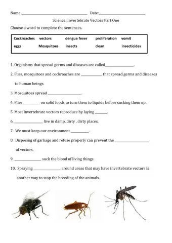 Invertebrate Vectors PART ONE
