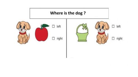 Preposition worksheet