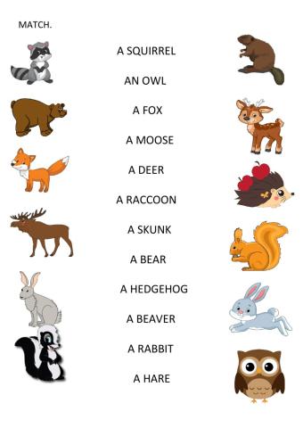 THE FOREST ANIMALS