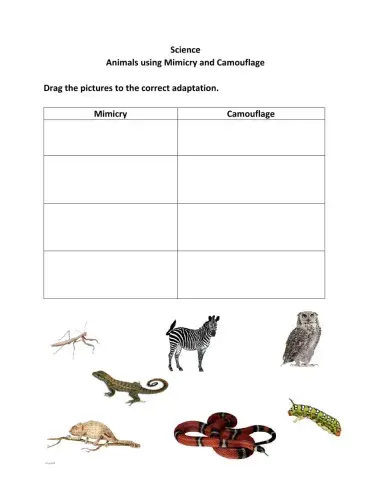 Animals using Mimicry and Camouflage