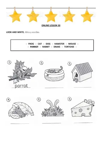 Children 1 - online lesson 30