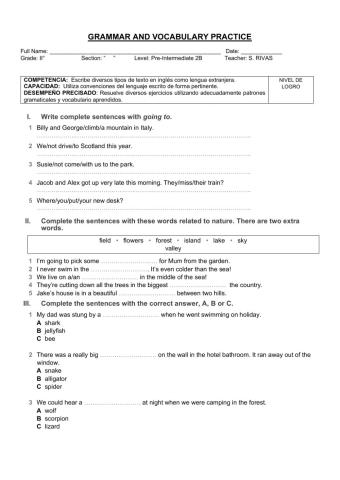 Grammar and vocabulary review