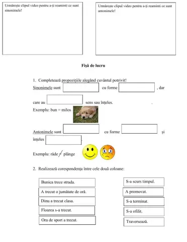 Sinonime si antonime