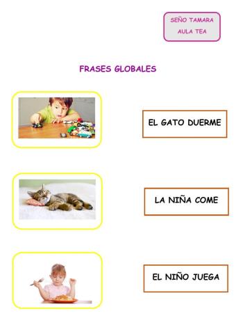 Lectura global