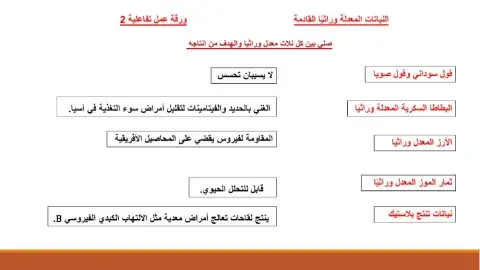 النباتات المعدلة وراثيا