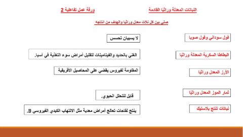 النباتات المعدلة وراثيا