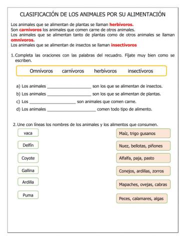 Clasificacion Animales