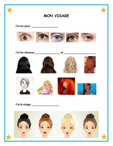 Description du visage