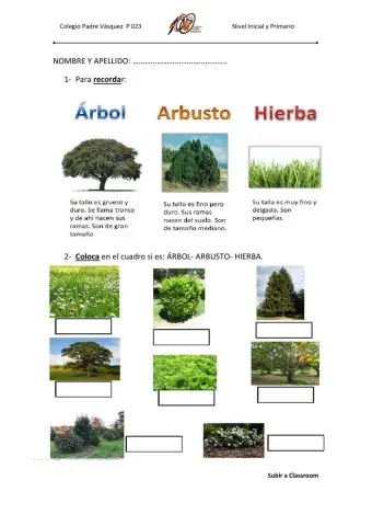 Árbol-arbusto-hierba