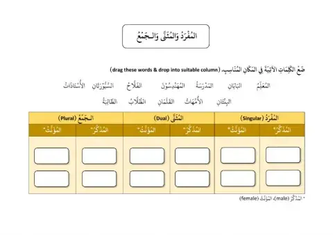 المفرد والمثنى والجمع