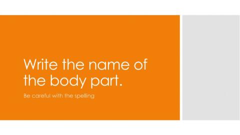 Spelling list Cambridge 3