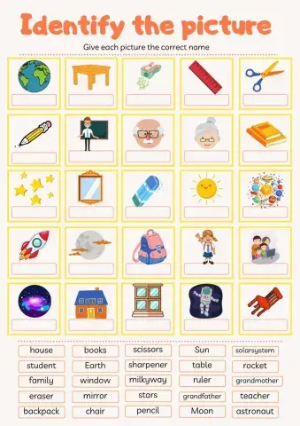 Identify the picture