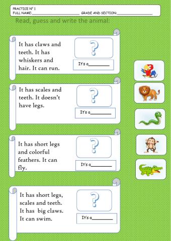 Animals and their abilities