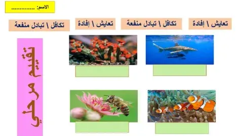 التكافل والتعايش