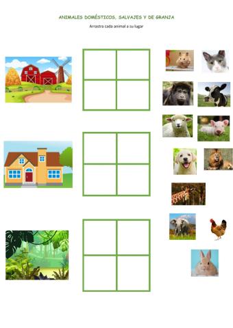 Mascotas, animales salvajes y de granja