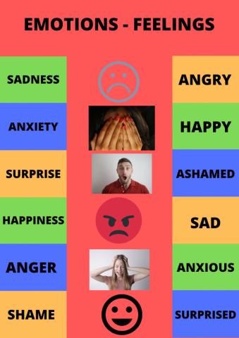 Emotions and feelings  Domi 2