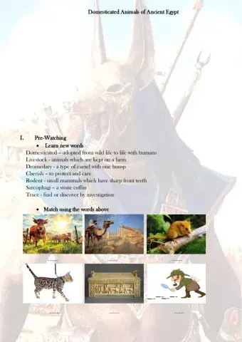 Domesticated Animals of Ancient Egypt