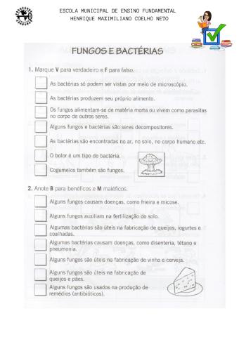 Fungos e bactérias