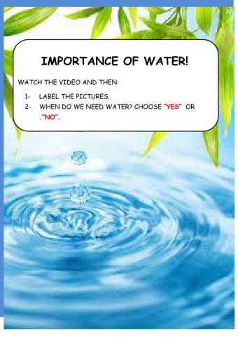 Importance of water