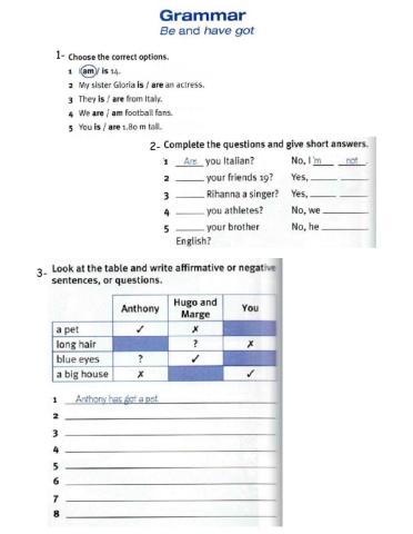 4th Year - Be and Have Revision