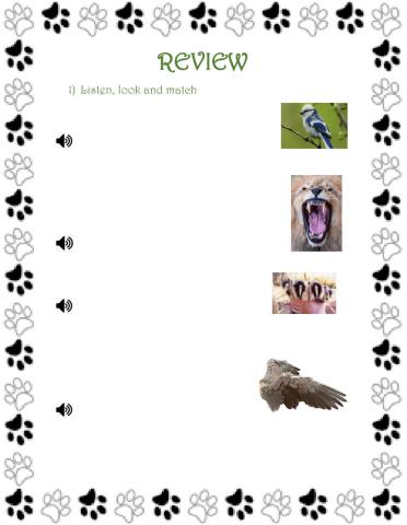 Animals Review