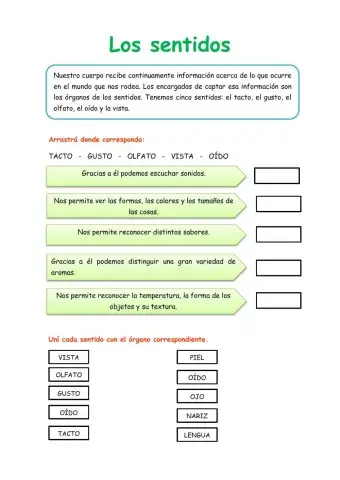 Los sentidos