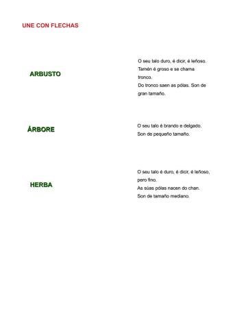 Árbores, arbustos, herbas