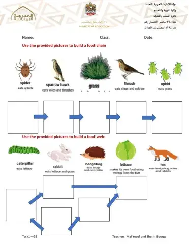 Food Chain and Food web- Task1