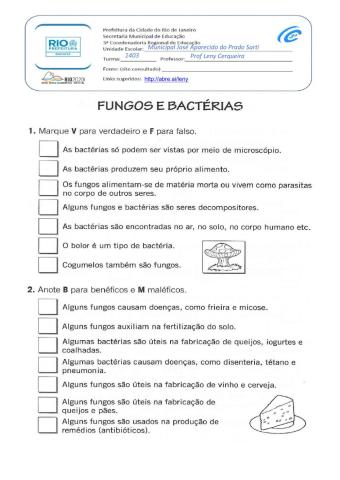 Fungos e Bacterias1