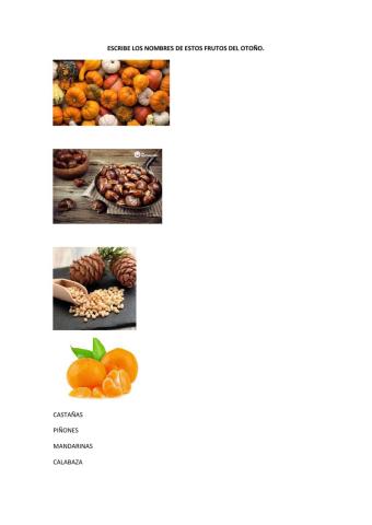 Frutos del otoño