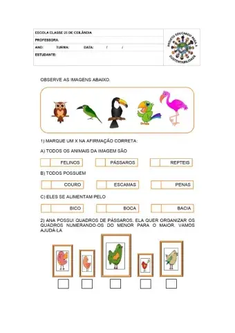 As aves e os animais