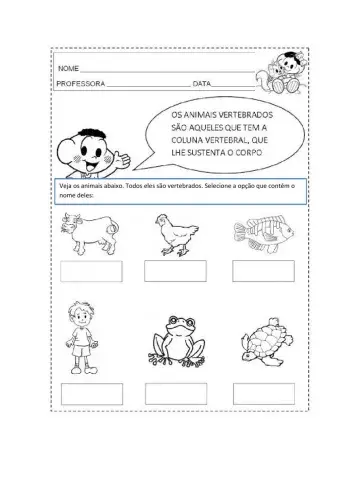 Animais vertebrados ou invertebrados