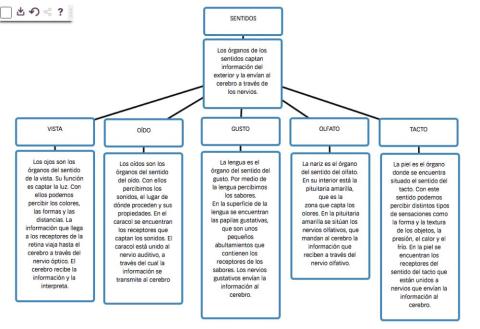Los sentidos Esquema