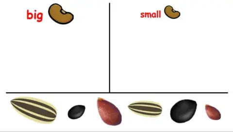 Sorting  seeds Big and small