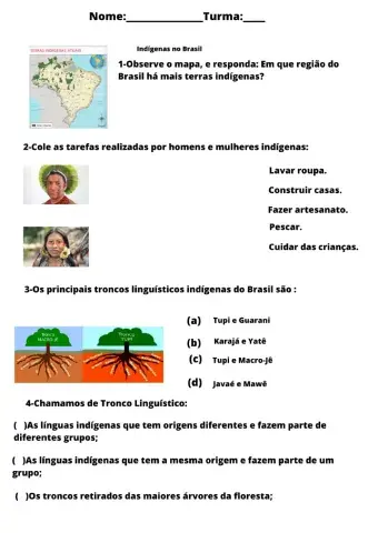 Povos Indígenas no Brasil