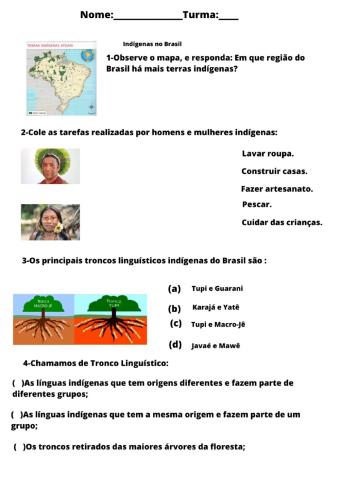 Povos Indígenas no Brasil