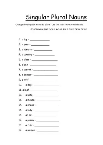 Singular - plural nouns