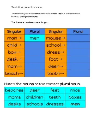 Plural Noun Sort