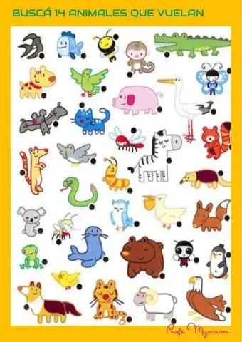 Buscá animales que vuelan