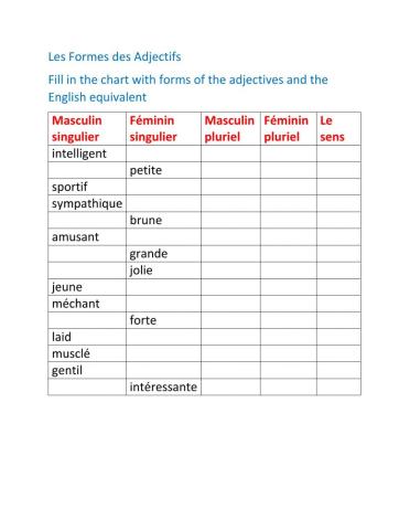 French Adjectives Forms
