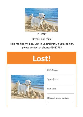 A lost dog