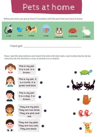 Read and match - Pets