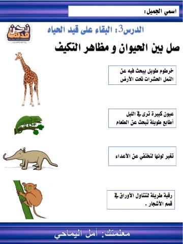 البقاء على قيد الحياه